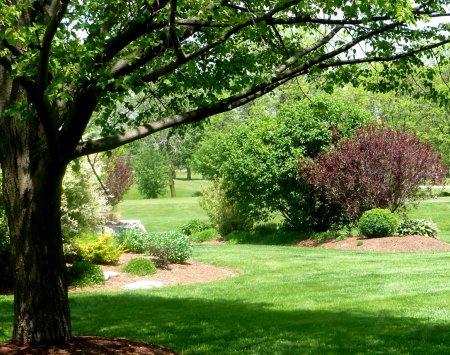 Photo of a property maintained by Mr. K-W Landscaper